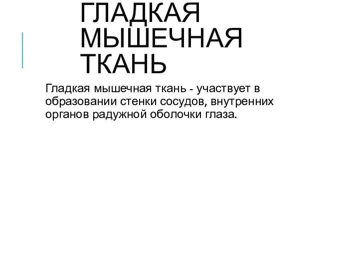 ГЛАДКАЯ МЫШЕЧНАЯ ТКАНЬ Гладкая мышечная ткань - участвует в образовании стенки сосудов,