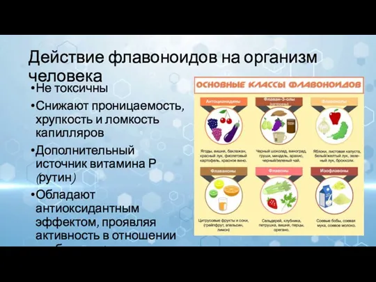 Действие флавоноидов на организм человека Не токсичны Снижают проницаемость, хрупкость и ломкость