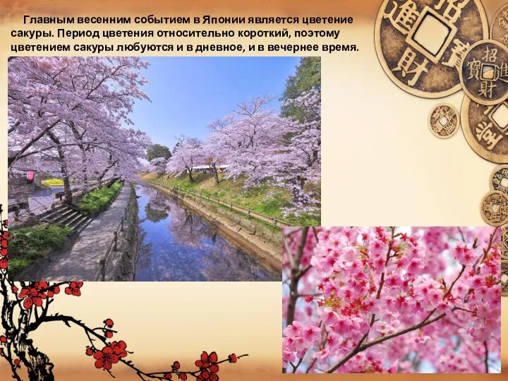 Главным весенним событием в Японии является цветение сакуры. Период цветения относительно короткий,