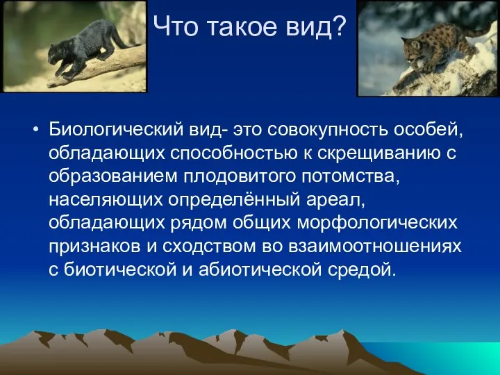 Что такое вид? Биологический вид- это совокупность особей, обладающих способностью к скрещиванию