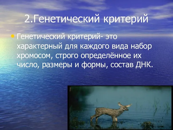 2.Генетический критерий Генетический критерий- это характерный для каждого вида набор хромосом, строго