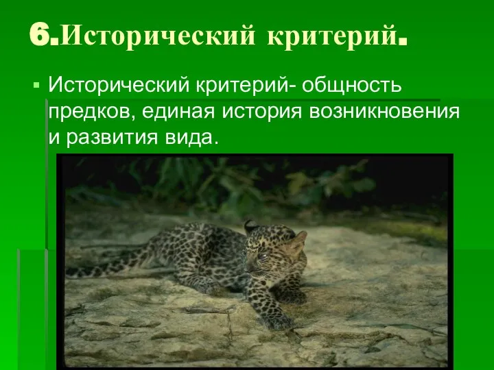 6.Исторический критерий. Исторический критерий- общность предков, единая история возникновения и развития вида.