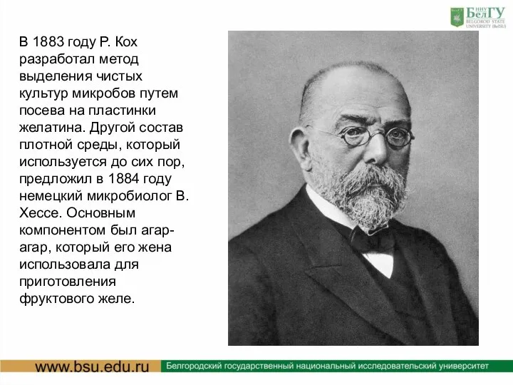 В 1883 году Р. Кох разработал метод выделения чистых культур микробов путем