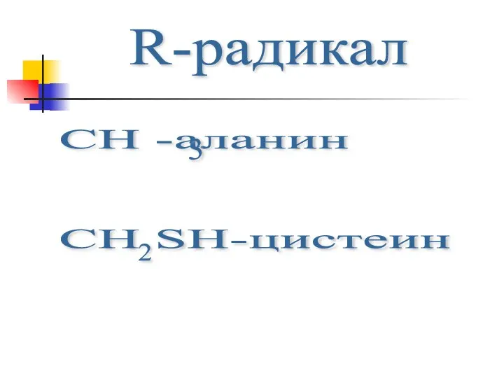 R-радикал CH -аланин CH SH-цистеин 2 3