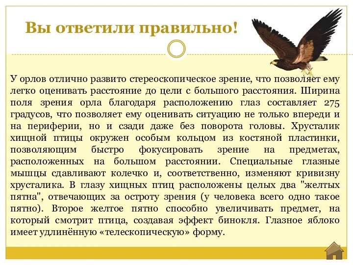 Вы ответили правильно! У орлов отлично развито стереоскопическое зрение, что позволяет ему