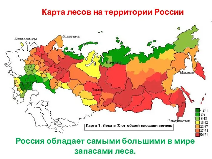 Карта лесов на территории России Россия обладает самыми большими в мире запасами леса.
