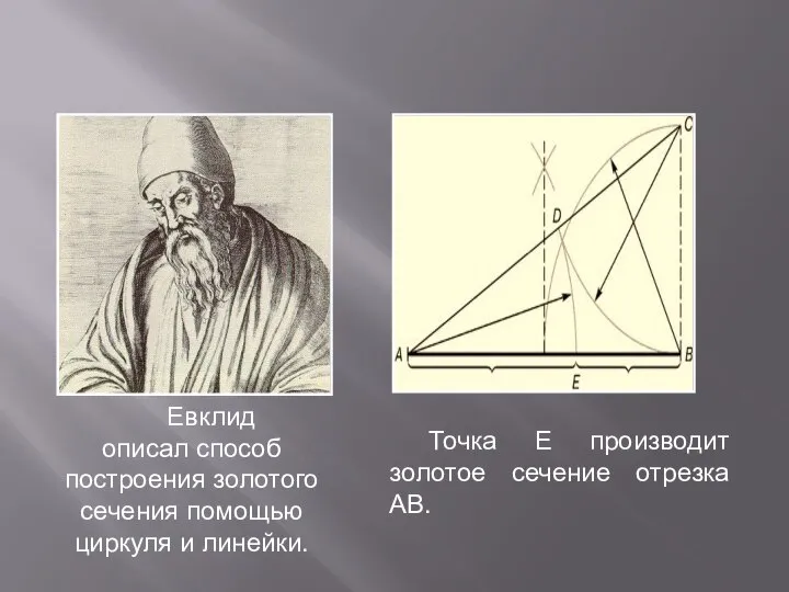Евклид описал способ построения золотого сечения помощью циркуля и линейки. Точка Е
