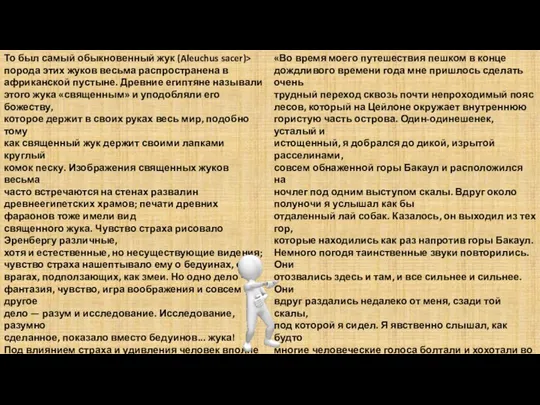 То был самый обыкновенный жук (Aleuchus sacer)> порода этих жуков весьма распространена