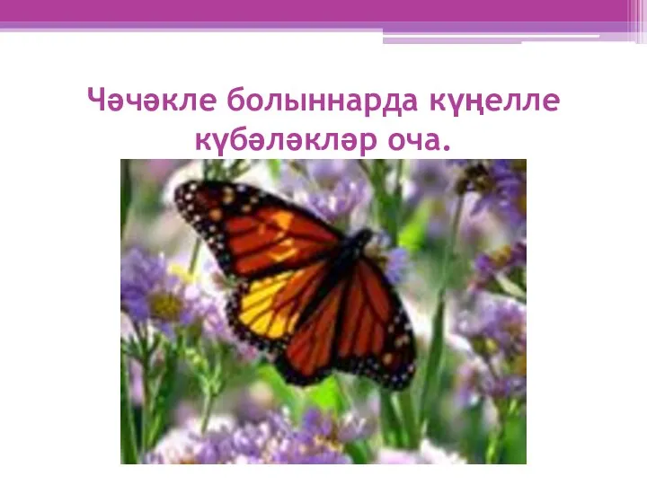 Чәчәкле болыннарда күңелле күбәләкләр оча.