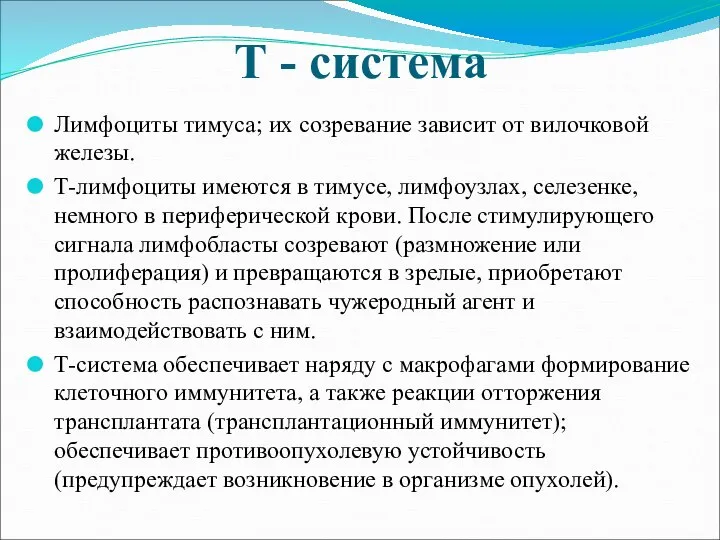 Т - система Лимфоциты тимуса; их созревание зависит от вилочковой железы. Т-лимфоциты