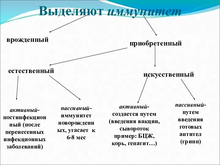 Выделяют иммунитет врожденный приобретенный естественный искусственный активный- постинфекционный (после перенесенных инфекционных заболеваний)