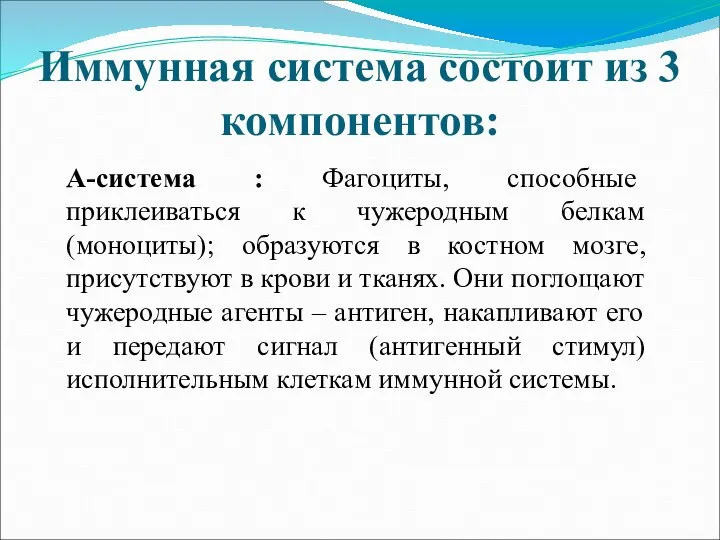 Иммунная система состоит из 3 компонентов: А-система : Фагоциты, способные приклеиваться к