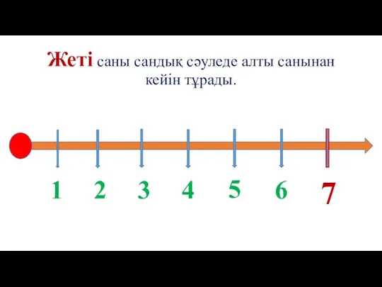 Жеті саны сандық сәуледе алты санынан кейін тұрады. 1 2 3 4 5 6 7