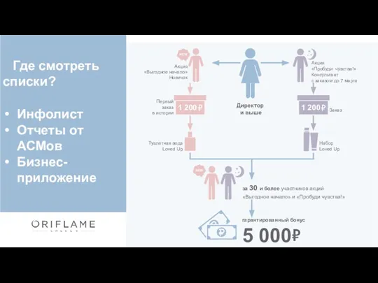 Где смотреть списки? Инфолист Отчеты от АСМов Бизнес-приложение Первый заказ в истории