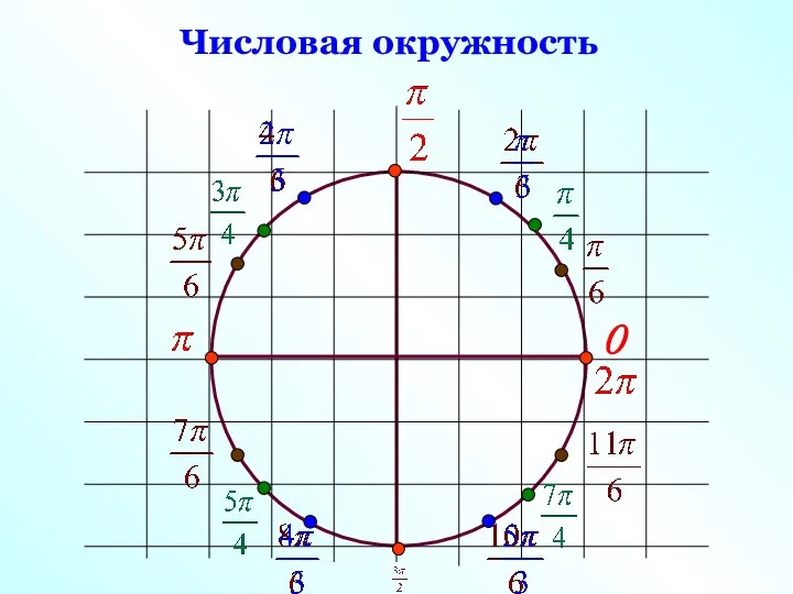 0 Числовая окружность