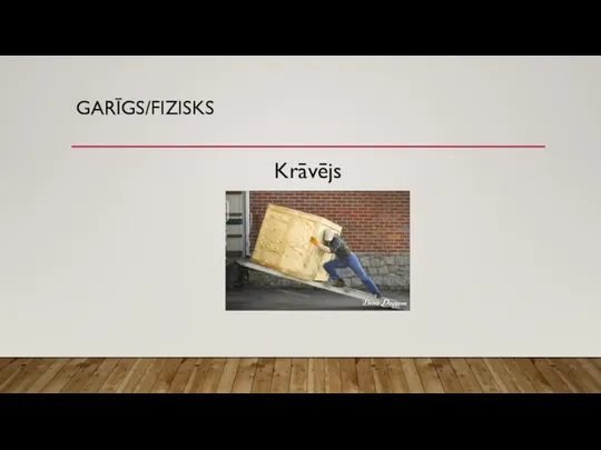 GARĪGS/FIZISKS Krāvējs