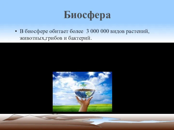 Биосфера В биосфере обитает более 3 000 000 видов растений,животных,грибов и бактерий.