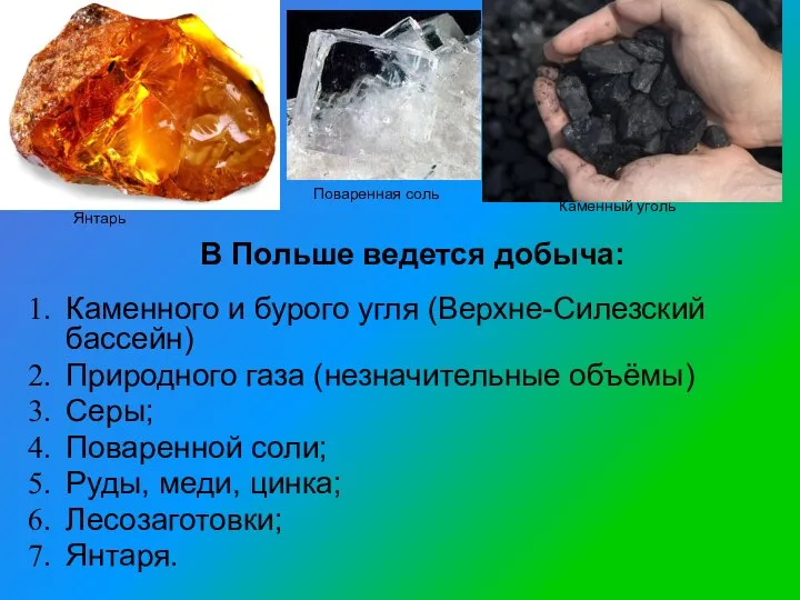 Каменного и бурого угля (Верхне-Силезский бассейн) Природного газа (незначительные объёмы) Серы; Поваренной