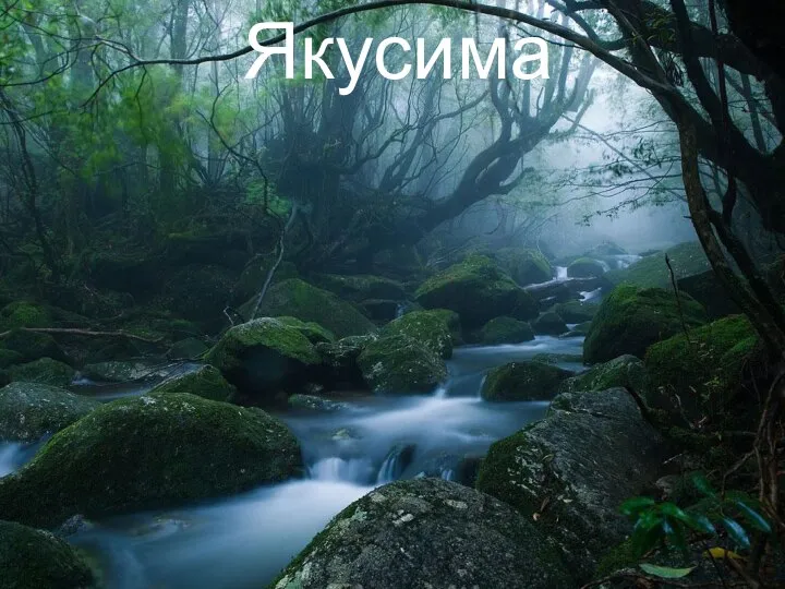 Якусима