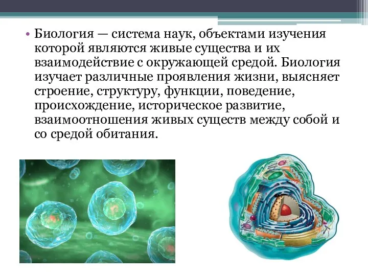 Биология — система наук, объектами изучения которой являются живые существа и их