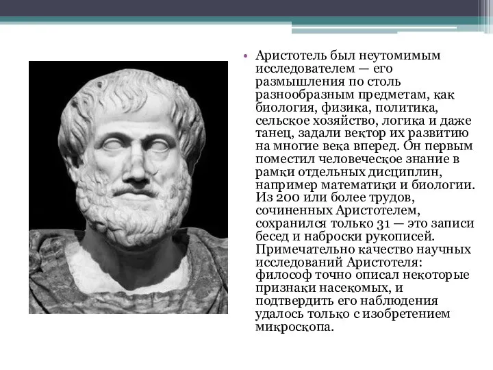 Аристотель был неутомимым исследователем — его размышления по столь разнообразным предметам, как