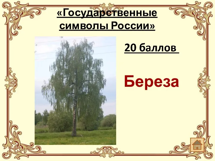 «Государственные символы России» Береза