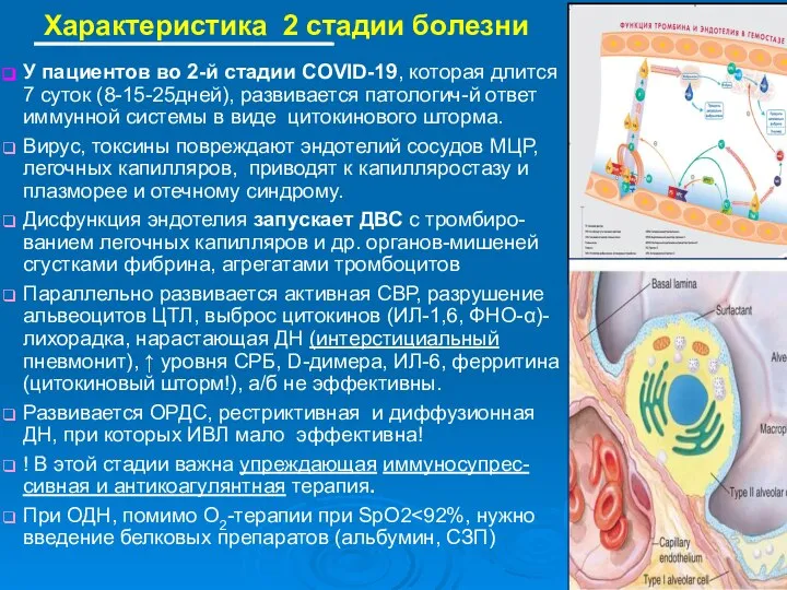 Характеристика 2 стадии болезни У пациентов во 2-й стадии COVID-19, которая длится