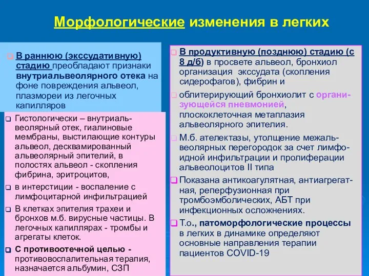 В раннюю (экссудативную) стадию преобладают признаки внутриальвеолярного отека на фоне повреждения альвеол,