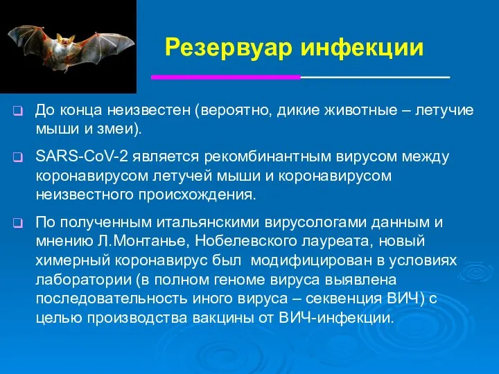 Резервуар инфекции До конца неизвестен (вероятно, дикие животные – летучие мыши и