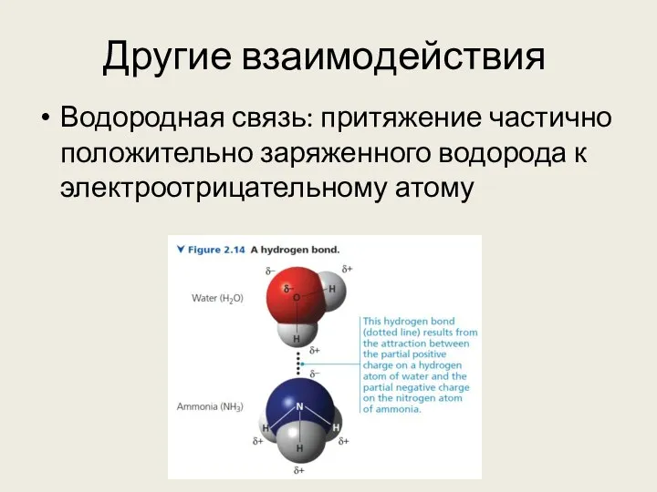 Другие взаимодействия Водородная связь: притяжение частично положительно заряженного водорода к электроотрицательному атому