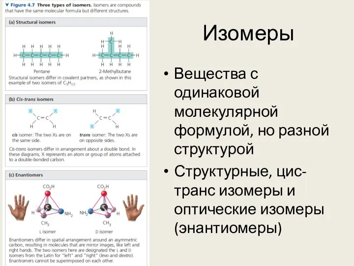 Изомеры Вещества с одинаковой молекулярной формулой, но разной структурой Структурные, цис-транс изомеры и оптические изомеры (энантиомеры)