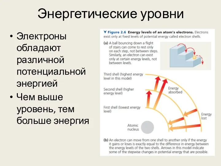 Энергетические уровни Электроны обладают различной потенциальной энергией Чем выше уровень, тем больше энергия