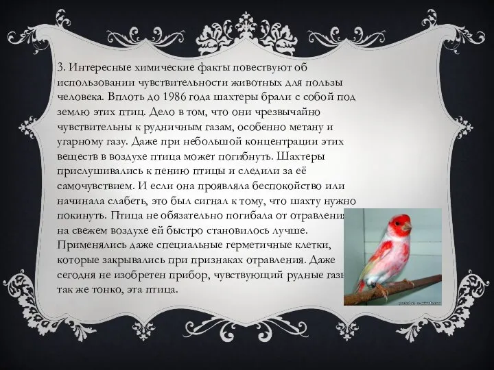 3. Интересные химические факты повествуют об использовании чувствительности животных для пользы человека.