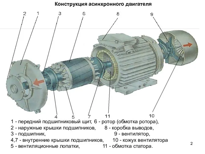 Конструкция асинхронного двигателя 1 - передний подшипниковый щит, 6 - ротор (обмотка