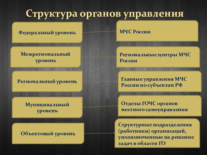 Структура органов управления Федеральный уровень Межрегиональный уровень Региональный уровень Муниципальный уровень Объектовый