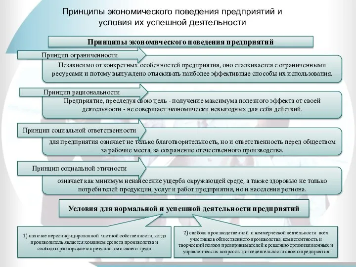 Принципы экономического поведения предприятий и условия их успешной деятельности