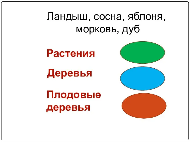 Ландыш, сосна, яблоня, морковь, дуб Растения Деревья Плодовые деревья