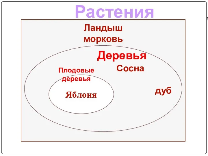 Яблоня , Деревья Плодовые деревья Ландыш морковь Сосна дуб Растения