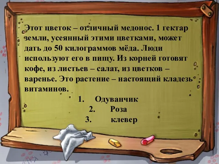 Этот цветок – отличный медонос. 1 гектар земли, усеянный этими цветками, может