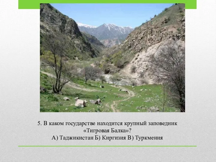 5. В каком государстве находится крупный заповедник «Тигровая Балка»? А) Таджикистан Б) Киргизия В) Туркмения