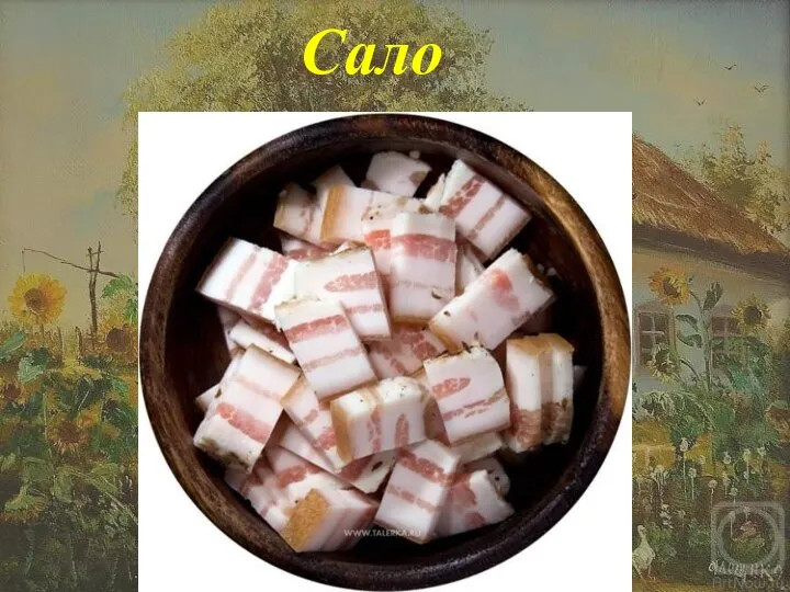 Сало