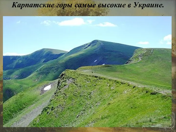 Карпатские горы самые высокие в Украине.