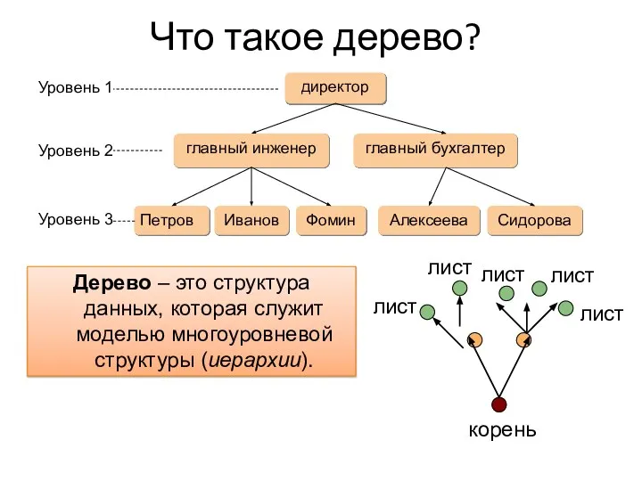 Что такое дерево? Дерево – это структура данных, которая служит моделью многоуровневой структуры (иерархии).