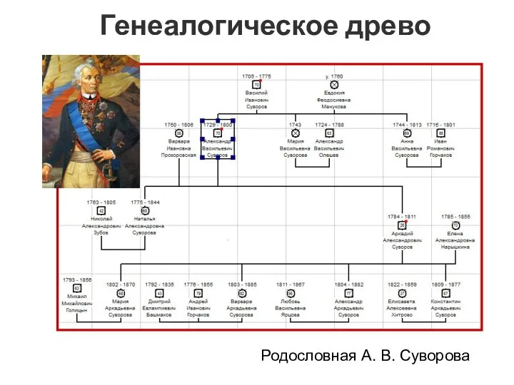 Генеалогическое древо Родословная А. В. Суворова