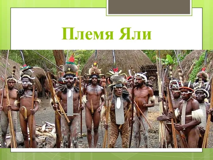 Племя Яли