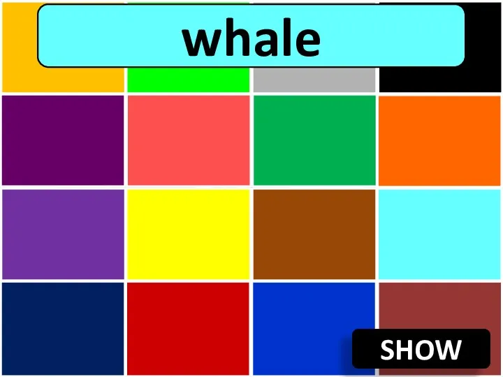 SHOW whale