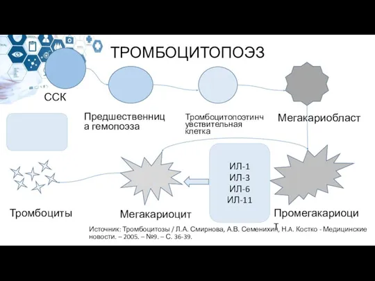 ТРОМБОЦИТОПОЭЗ ССК Предшественница гемопоэза Тромбоцитопоэтинчувствительная клетка Мегакариобласт Промегакариоцит Мегакариоцит Тромбоциты ИЛ-1 ИЛ-3