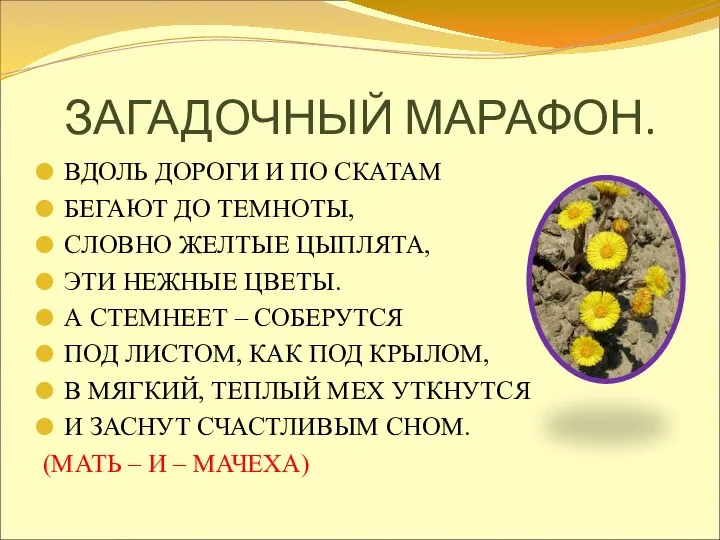 ЗАГАДОЧНЫЙ МАРАФОН. ВДОЛЬ ДОРОГИ И ПО СКАТАМ БЕГАЮТ ДО ТЕМНОТЫ, СЛОВНО ЖЕЛТЫЕ