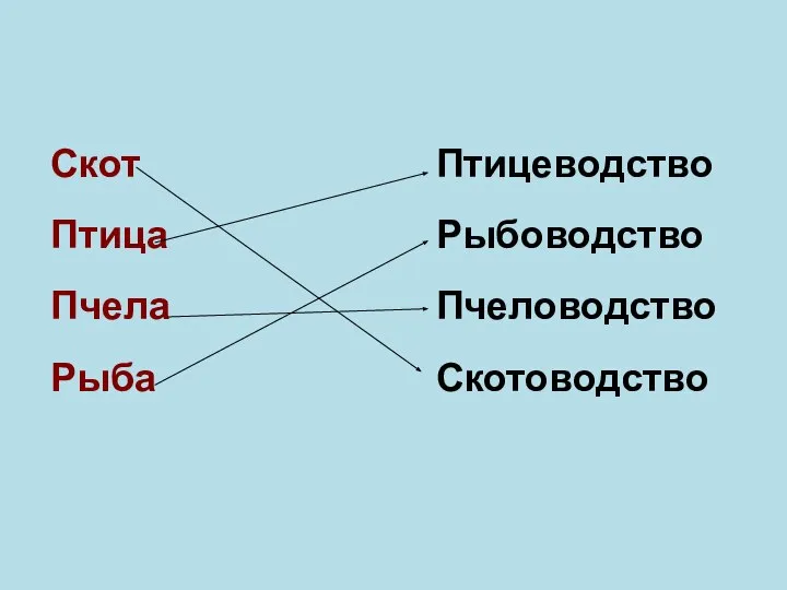 Скот Птица Пчела Рыба Птицеводство Рыбоводство Пчеловодство Скотоводство