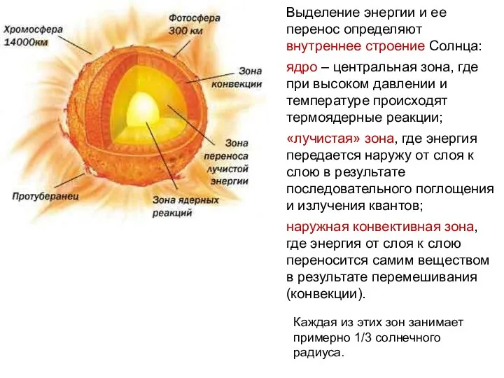 Выделение энергии и ее перенос определяют внутреннее строение Солнца: ядро – центральная
